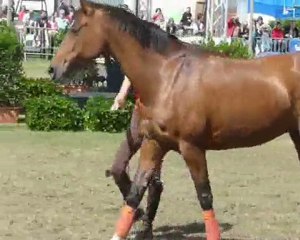 demo libramont deuxieme partie