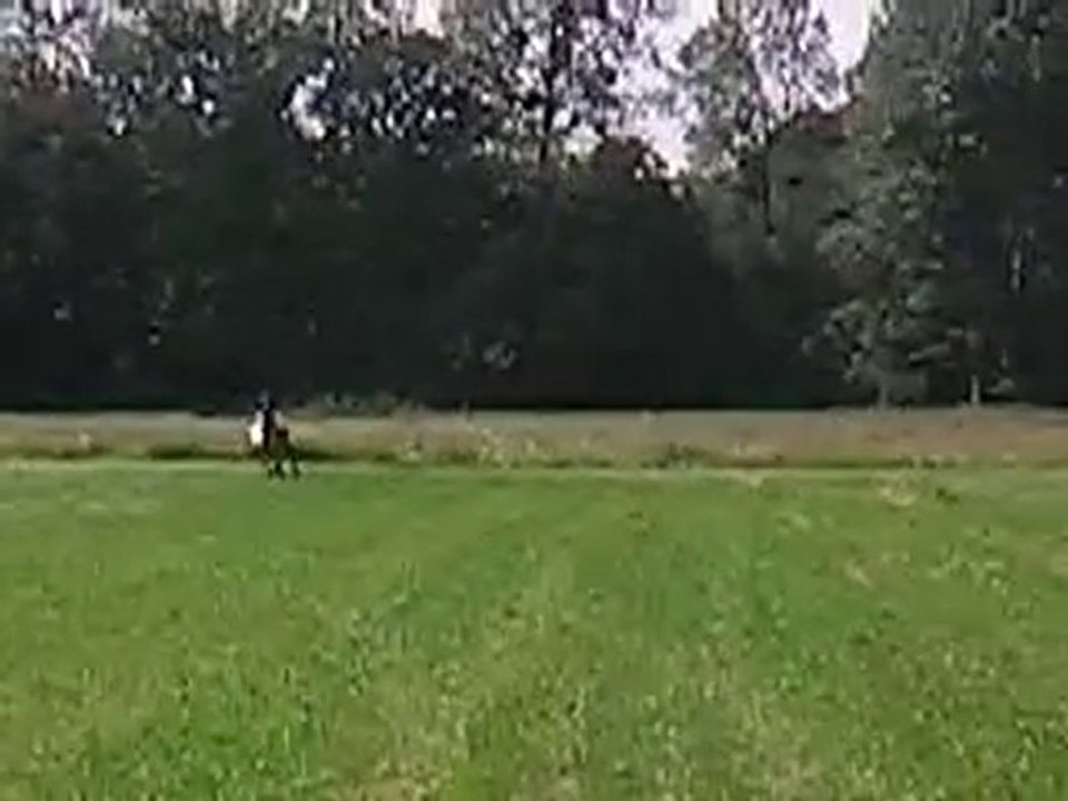 Mwa et oscar au galop