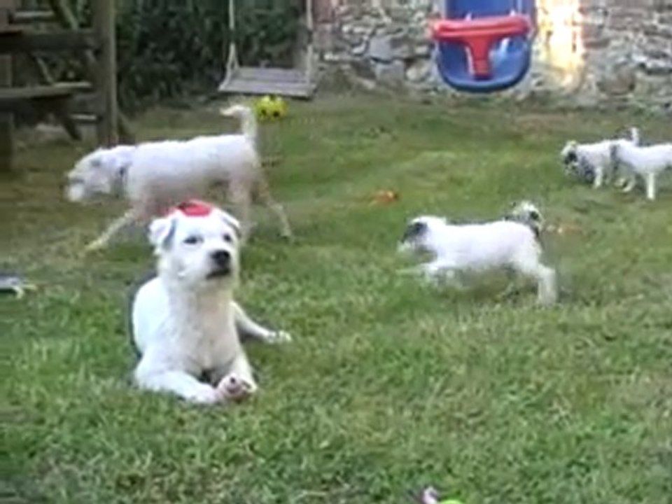 26 06 2010 Les bébés et des enfants