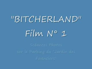Bitcherland 01