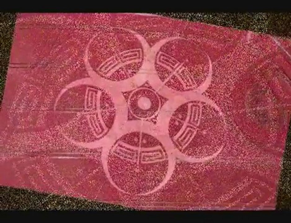 Crop circles Roundway Hill GB 25 Juillet 2010