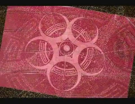 Crop circles Roundway Hill GB 25 Juillet 2010