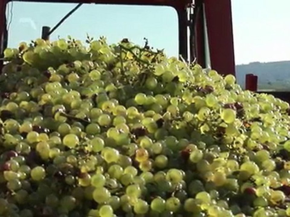 Vignerons des Terres Secrètes