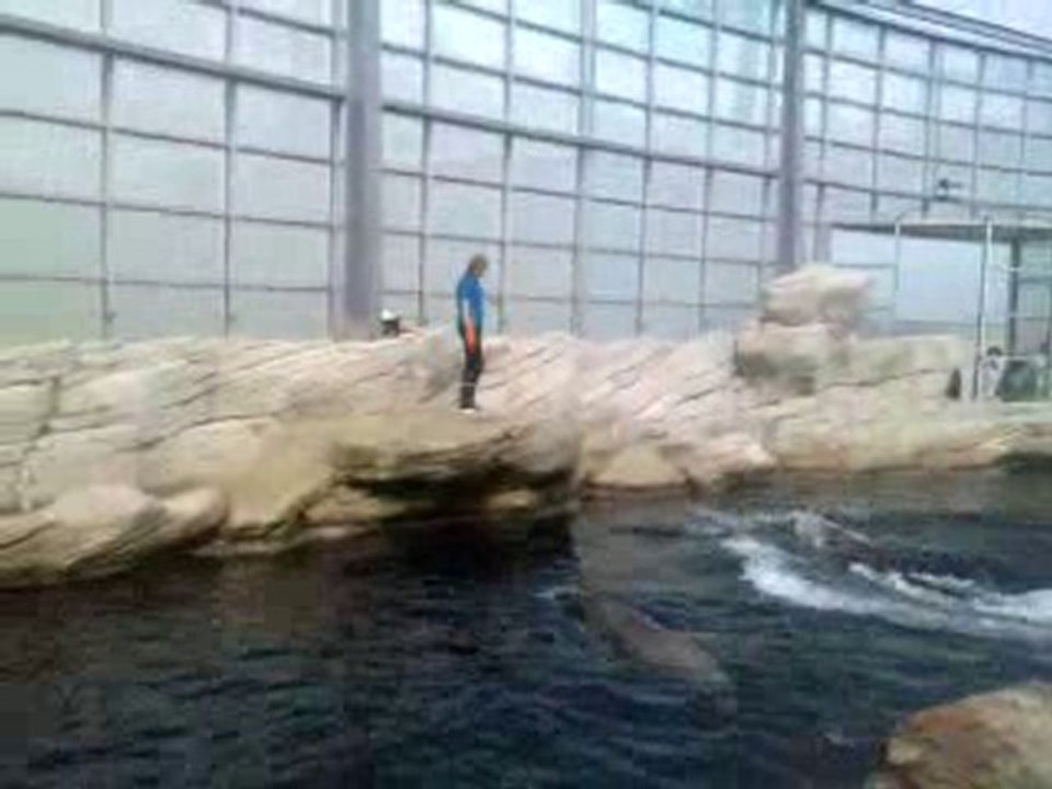 V270710_11.580001