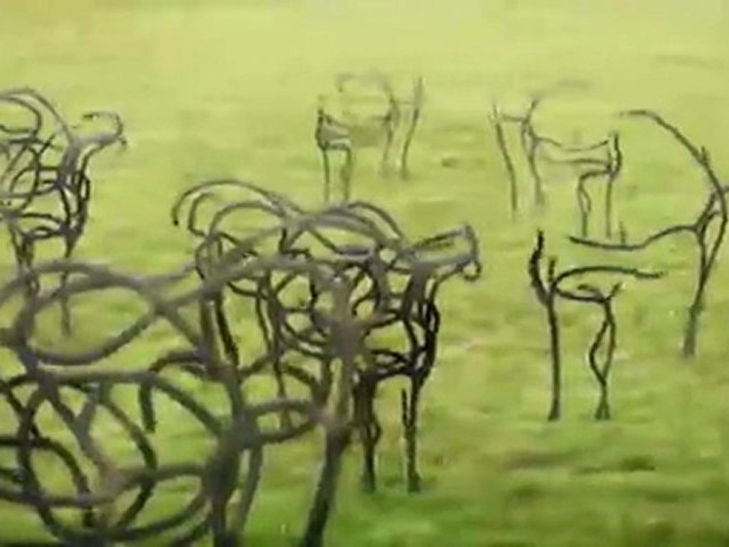 ⁣cows & cows & cows metal remix ACCEPTING REQUESTS