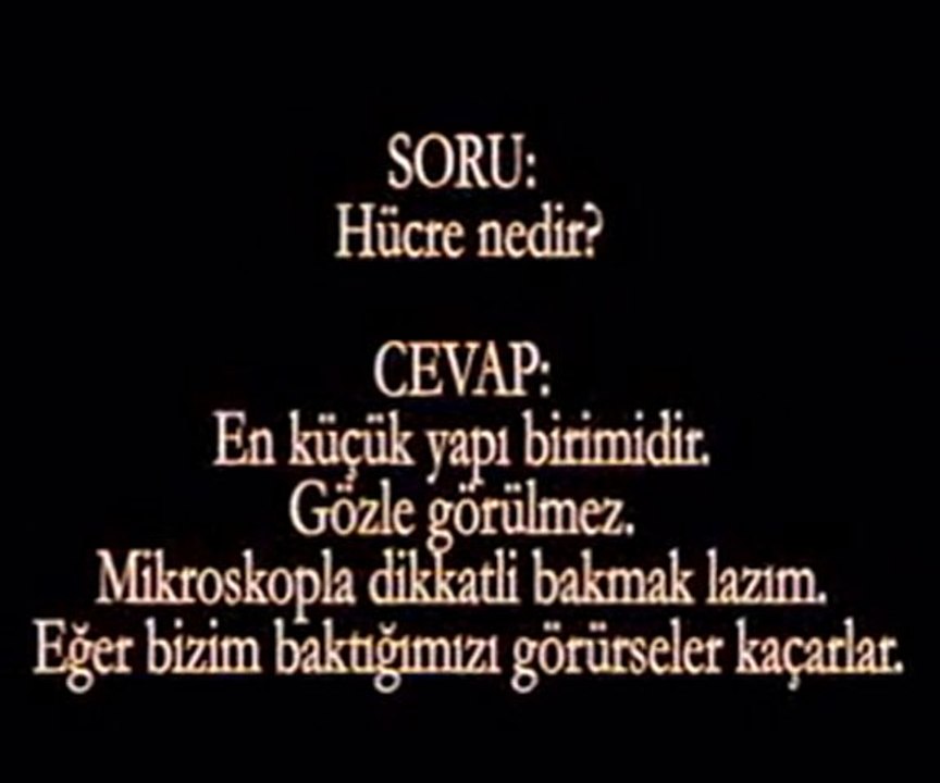 Ögrencilerin Sınavlarda Verdiği Çok Komik Cevaplar