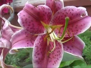 Один день лета. One summer day