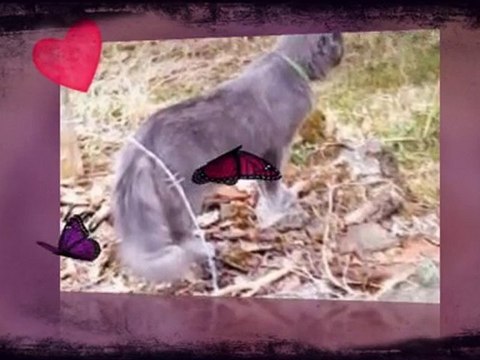 Bébé d'amour ; tu m'as jamais autant manquer :( ; Je T'aime