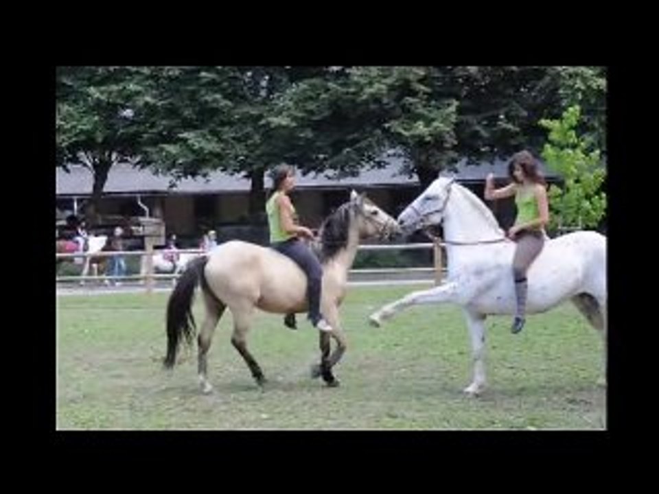 Equestria : Interview  Pierre Lauginie