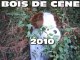 BOIS DE CENE 2010 - LES DERAILLES