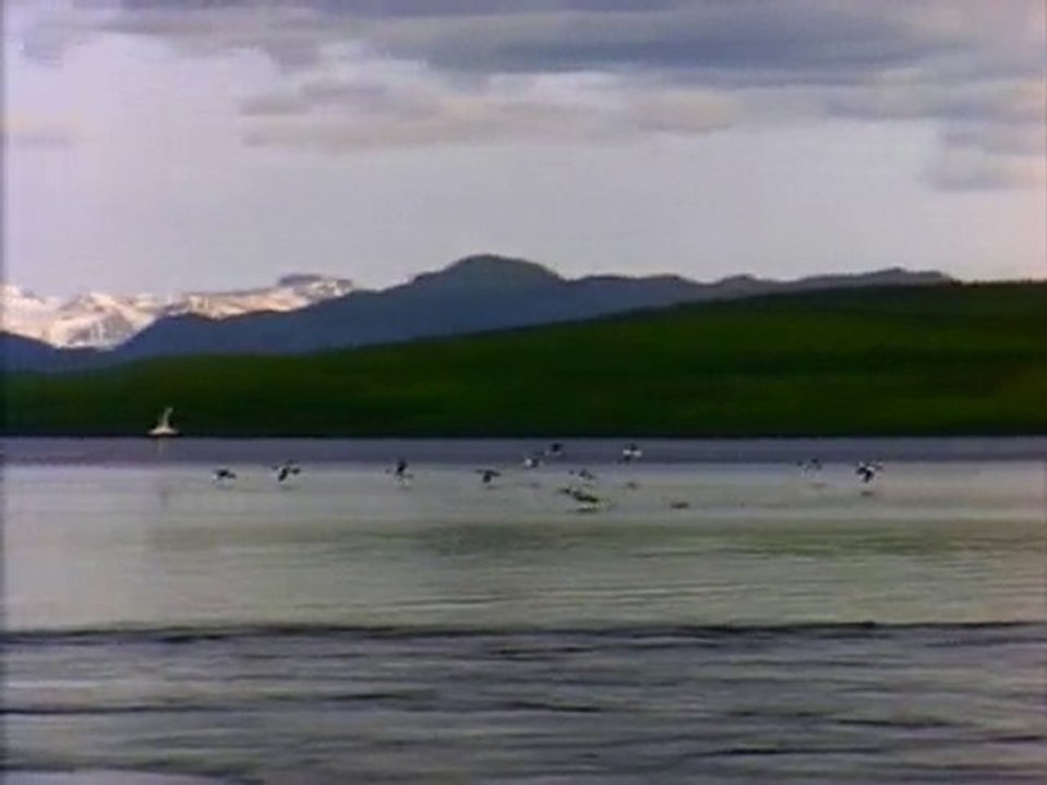 Lake