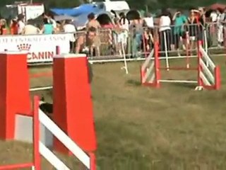 20100703 GPF Le Creusot Agility1 2nd angle