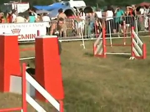 20100703 GPF Le Creusot Agility1 2nd angle