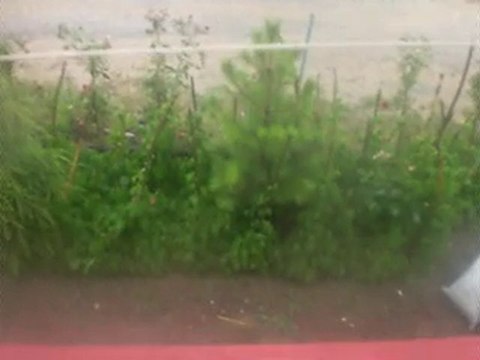 KÖYÜMÜN YAĞMURLARI (videodaki ses yağmur sesi)