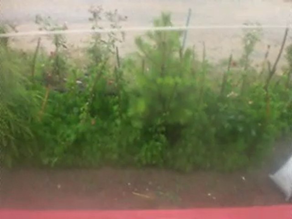 KÖYÜMÜN YAĞMURLARI (videodaki ses yağmur sesi)