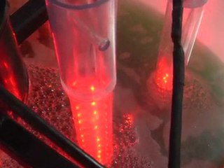 OriginOil Launches MAX ONE