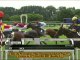Regarder Vidéo quinté prix. sur DailyMotion.com