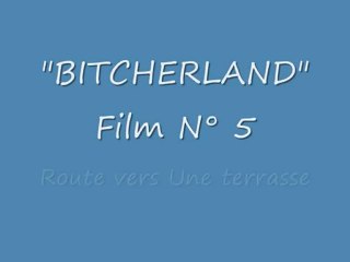 Balade "Bitcherland"  05