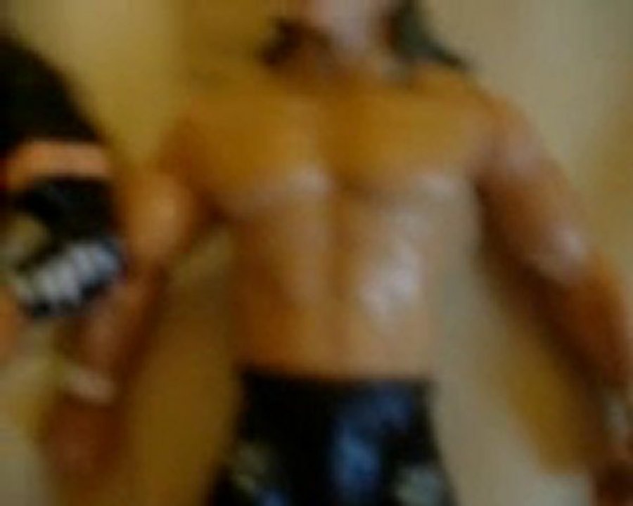 présentation de figurine de catch