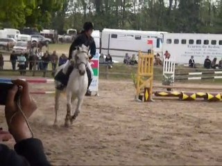 Résumé de l'année 2009 - 2010