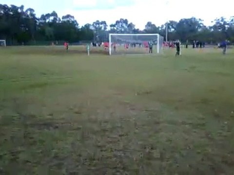 [Lawn Care Tips] - [Weed and Feed Lawn] - [Couch Lawn Care]