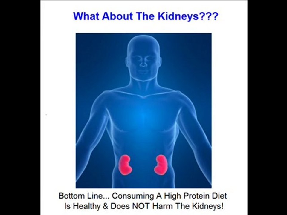 Bodybuilding Supplements Guide - Part 2 - Protein