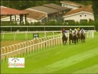 2010.07.25, nº 291 SS (Endenea Garden (3a, C) Amadeo Rey