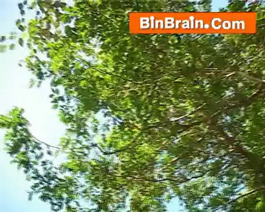 Nature in Trivandrum
