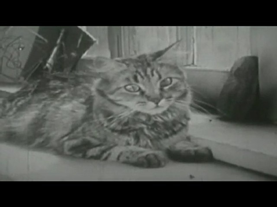 teaser Kicé qu'à l'Chat Fest 2010 par Freak AC