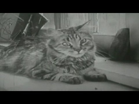 teaser Kicé qu'à l'Chat Fest 2010 par Freak AC