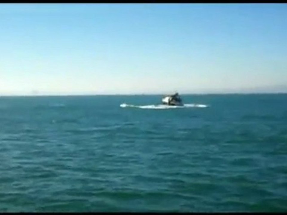 Une baleine attaque un voilier