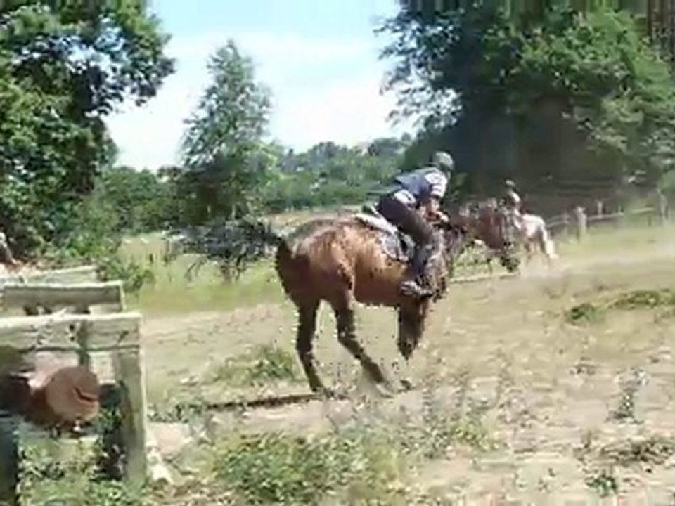 Stage cross