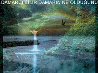 selahattin özdemir bahtsız kadın