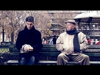 André Pousse et les Pigeons...