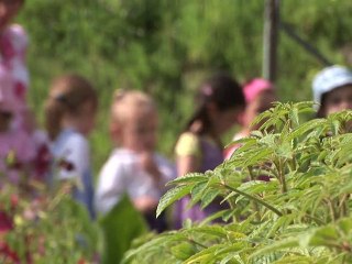 Rendez-vous aux jardins