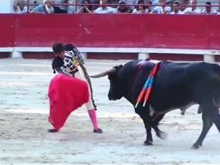 Corrida du dimanche à Beaucaire
