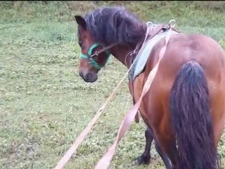 Séance en LR avec Isis (28/07/2010)