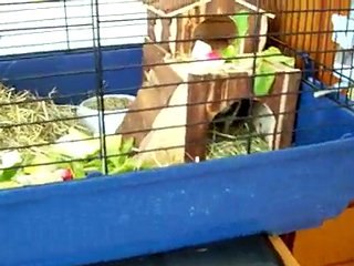 Event Date: 28/07/2011