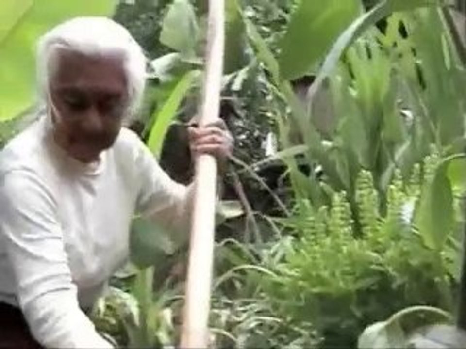 Buchtrailer "Im Tal der Hundertjährigen"