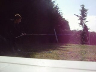 Un chien de 7mois tres fort