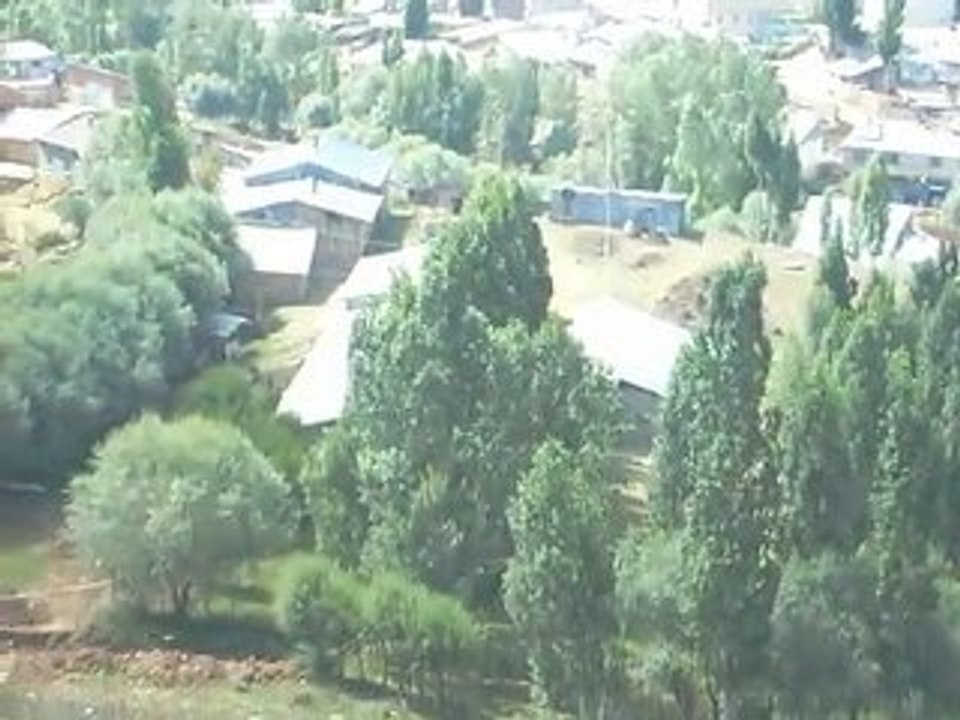 S6301848