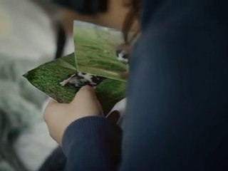 Foster Carers Needed!!