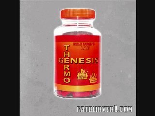 Fatburner - ECA Stack - Ephedrin - Ephedra