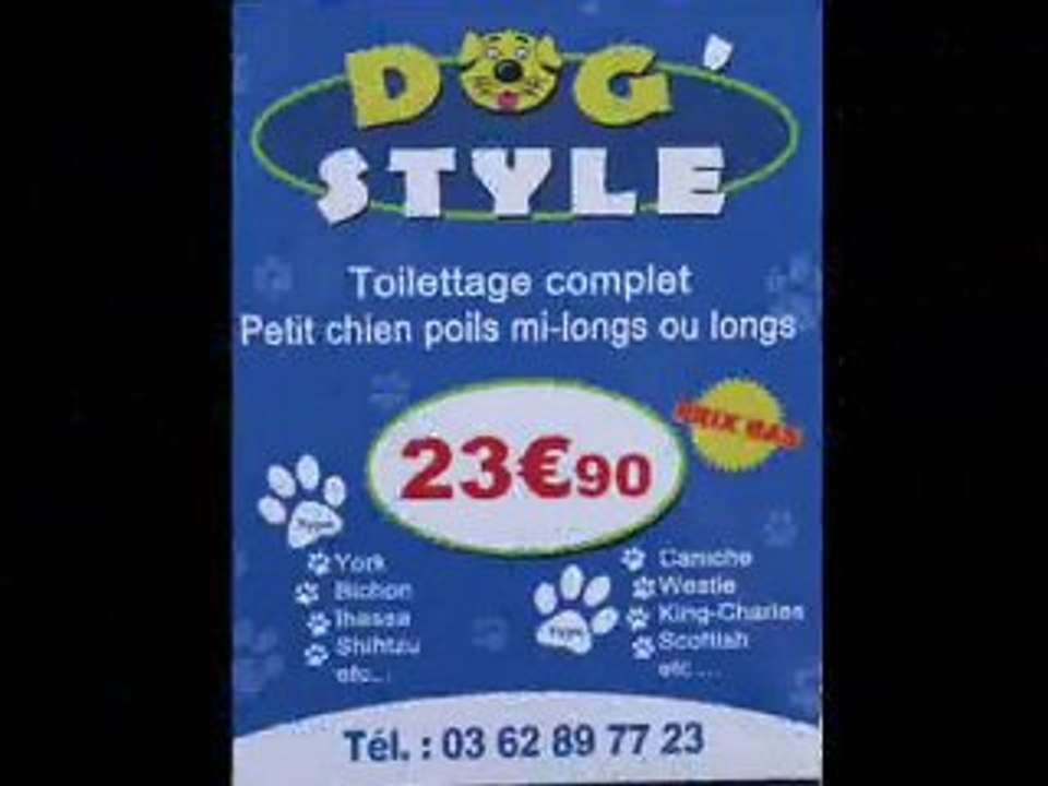 DOGSTYLE PUB VIDEO_0001