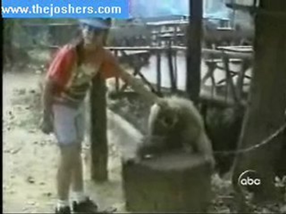 les  singes2