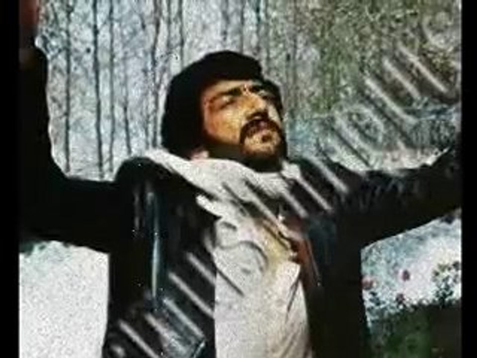 Müslüm Gürses (bir güzel sevmiştim)