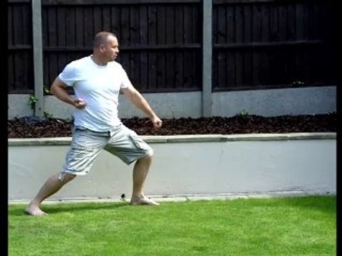 Kihon Kata Individual Karate Moves 2nd