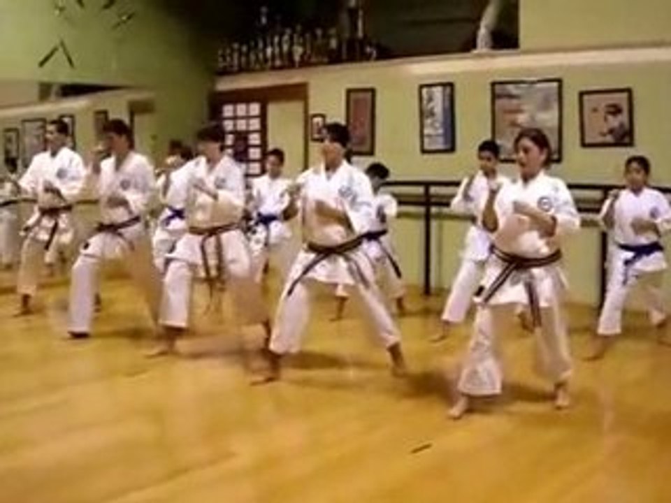 Karate Caracas