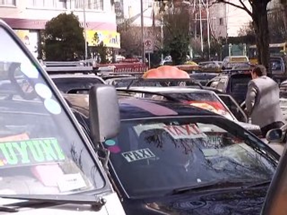 Zebras direct traffic in Bolivia