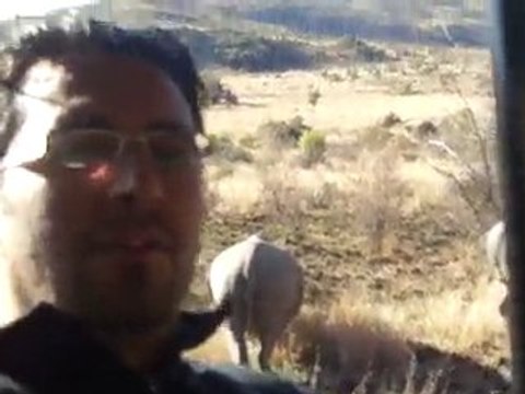 güney afrika safari (sun city)gergedan